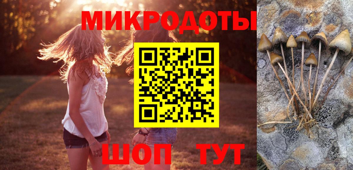 Галлюциногенные грибы GOLDEN TEACHER  Вход с VPN  Чернушка  Псилоцибиновые грибы Cubensis 